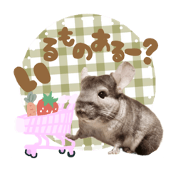 tanuki_20230517221130