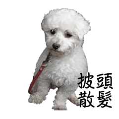 布丁丁丁丁丁丁丁