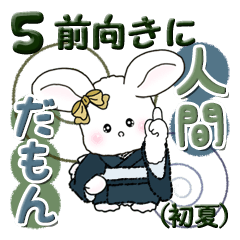 White rabbit 5 (positively)early summer