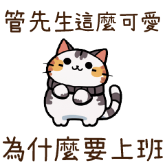 Cat Guide2Mr. Guan76