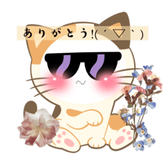 Mayuyu_20230518005856