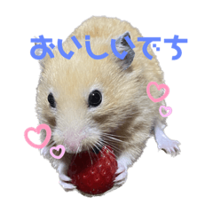 yuka_20230517214355