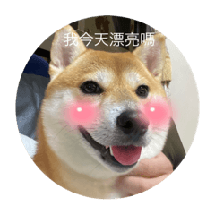 我只是長得像狗