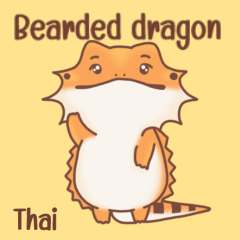 Bearded dragon everyday (Thai)