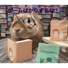 kana_20230517191121