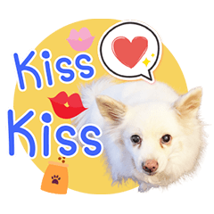 Say hello to charming Komi