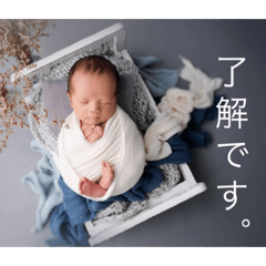 ARISA_20230518143853