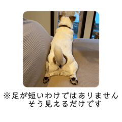 smile_20230518011305