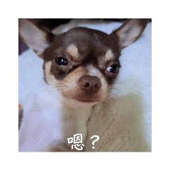 家有米樂好開心！