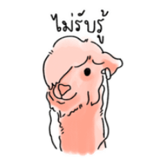 Alpaca so hug