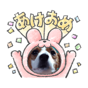 kaede_20230518201021