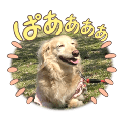 HANA_20230519014346
