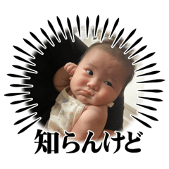 hikari_20230519084033