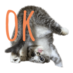 saori_20230518204539