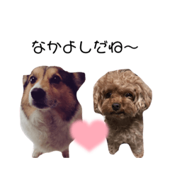 mizuki_20230518230735