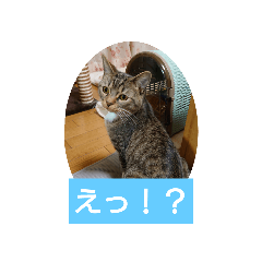 nob_20230518205841