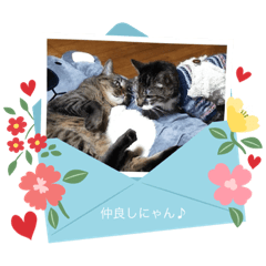 SAKURA_20230518194132