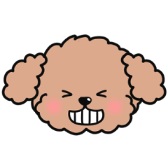 Cute ! Toy poodle