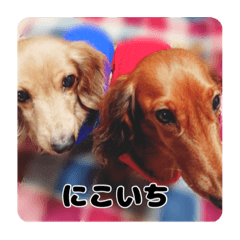 kana_20230519030116