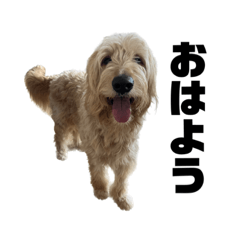omochi_20230519132513