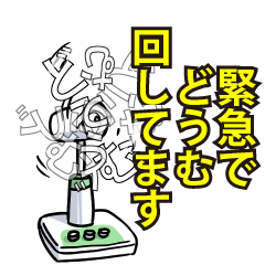 RESPECTemerald_s_0416