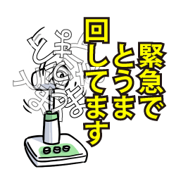 RESPECTemerald_s_0415