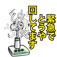 RESPECTemerald_s_0417