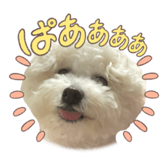 Yuka_20230518221433