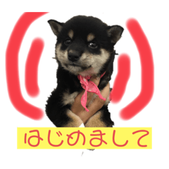 sakurako_20230518222620