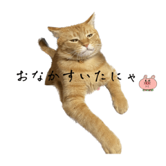 Aoi_20230519035032