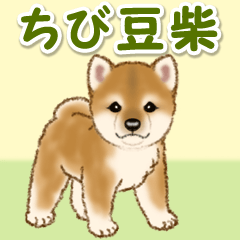 Puppy of Mameshiba