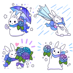 Star flower Rabbit Rain