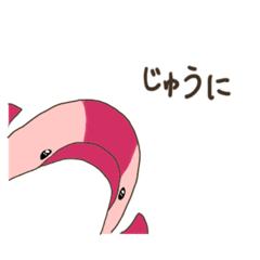 Saori_20230519123614