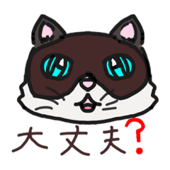 nao_20230519164029