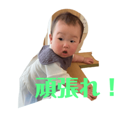 hikari_20230520100030