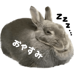 odakan_20230519180629