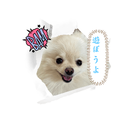 Sunny_20230519181531