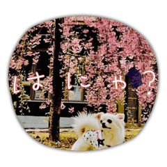 kana_20230519163511