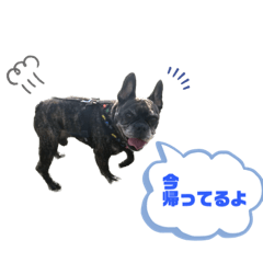 kana_20230519202741