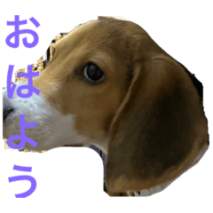 ともみ動物園3