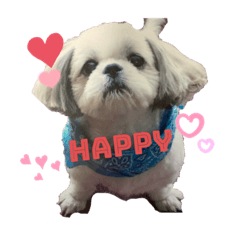 Yukari_20230519235916