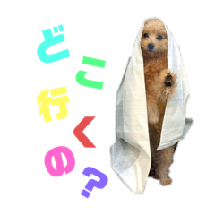 SAKURA_20230519154419