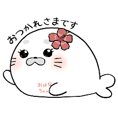 Seal Ohana-chan