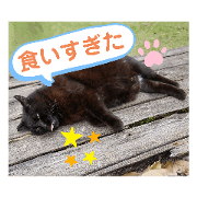 mike_20230519170542