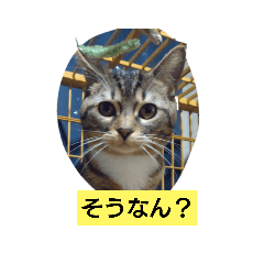 nob_20230519195307