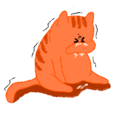 (v. England) mischievous orange cat