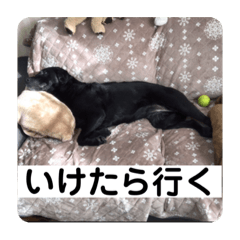 okaD_20230519230630