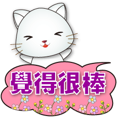 Cute White Cat- Practical Dialog Box