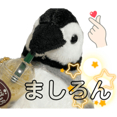 nao_20230520142101