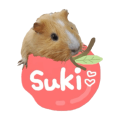 Hikari_20230520151909